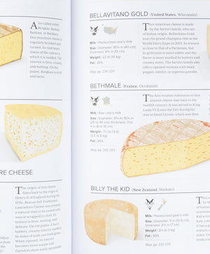 A FIELD GUIDE TO CHEESE