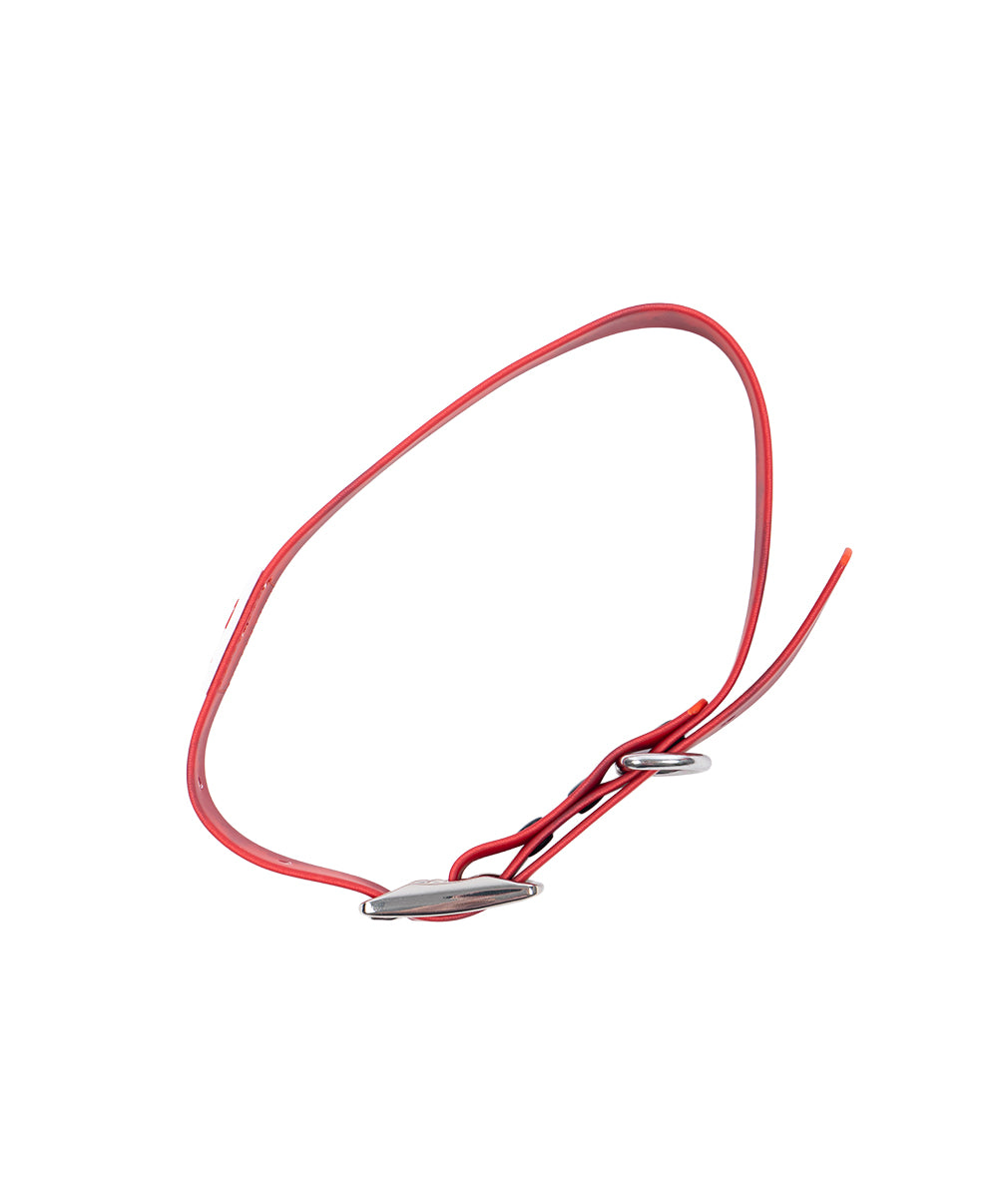 Leinies Red Collar