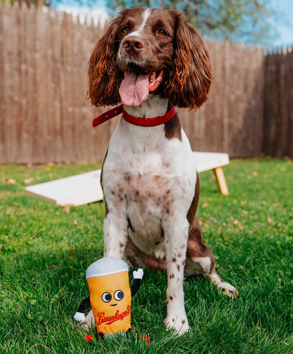 Pint Glass Pet Toy