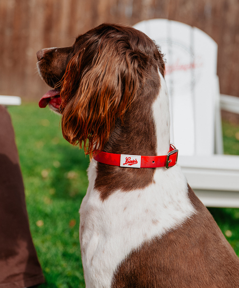 Leinies Red Collar