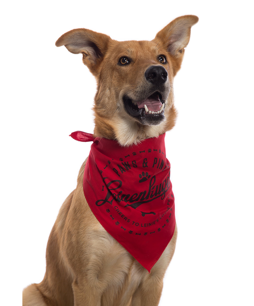 PAWS & PINTS PET BANDANA