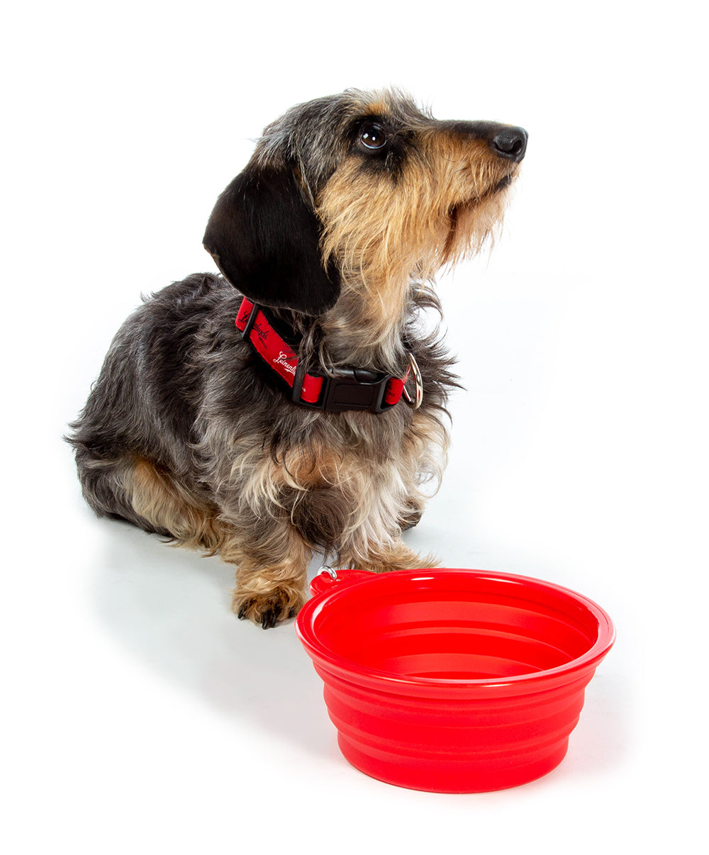 RED COLLAPSIBLE PET BOWL